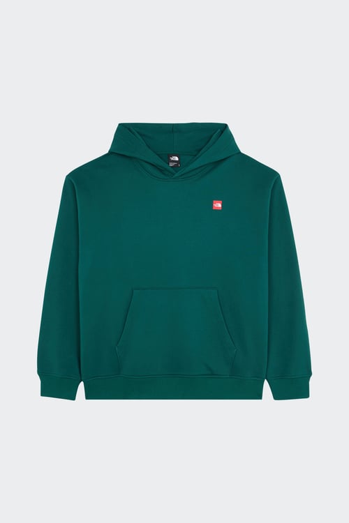 THE NORTH FACE Hoodie Vert