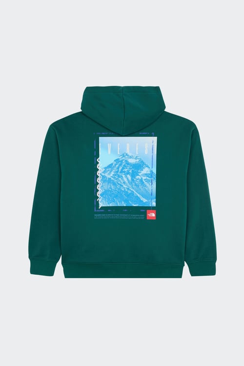THE NORTH FACE Hoodie Vert