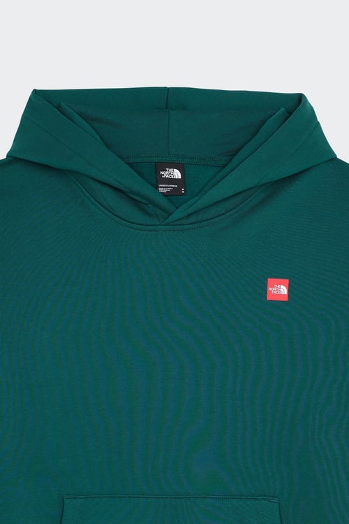 THE NORTH FACE Hoodie Vert