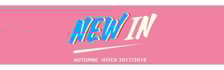 Autumn/Winter 2017 collection