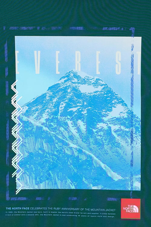 THE NORTH FACE Hoodie Vert