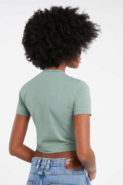 DICKIES T-shirt Vert