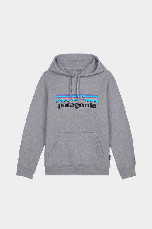 PATAGONIA Hoodie Gris
