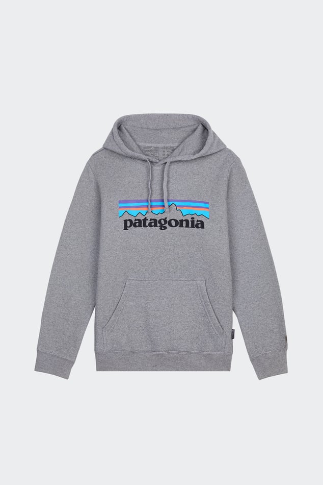 Sweat a Capuche Oversize En Coton Melange Gris Patagonia Homme Citadium