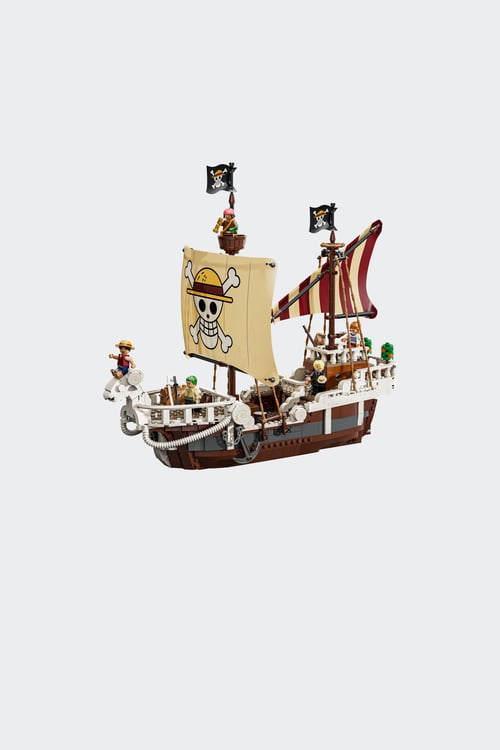 LEGO Jeu Multicolore