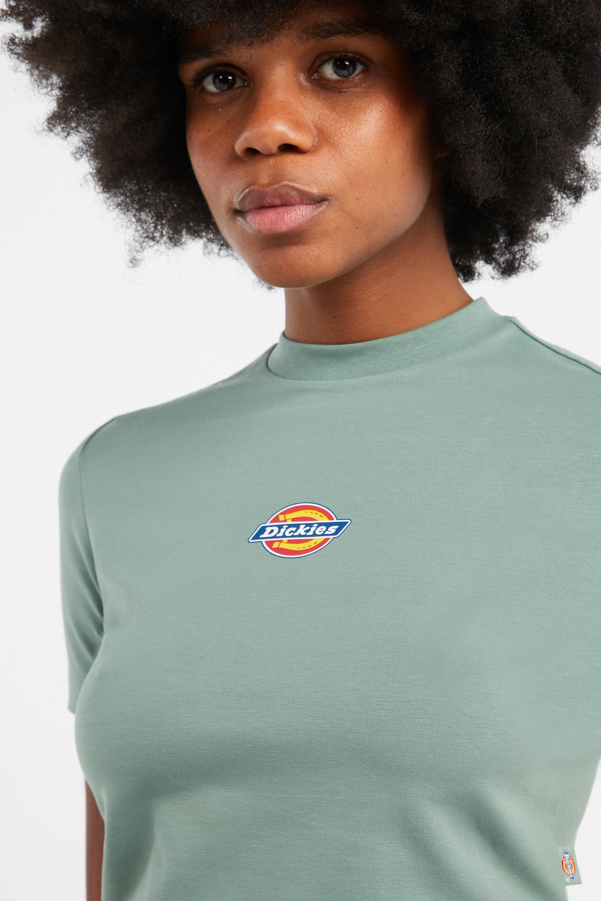 DICKIES T-shirt Vert