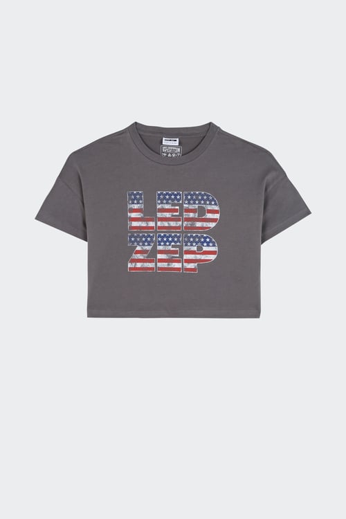 NOISY MAY T-shirt Gris