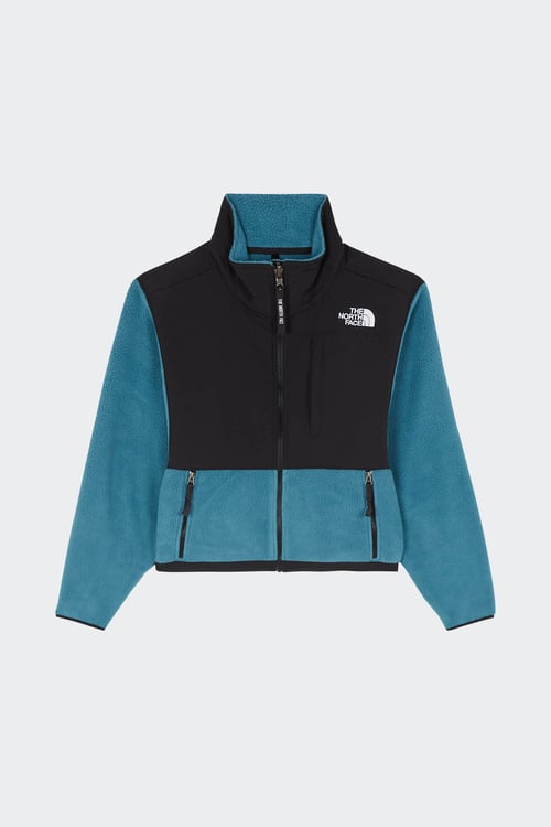 THE NORTH FACE Polaire Bleu