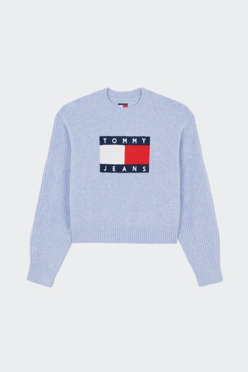 TOMMY JEANS Sweater Blue