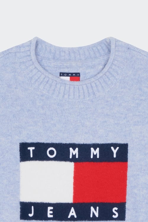 TOMMY JEANS Sweater Blue