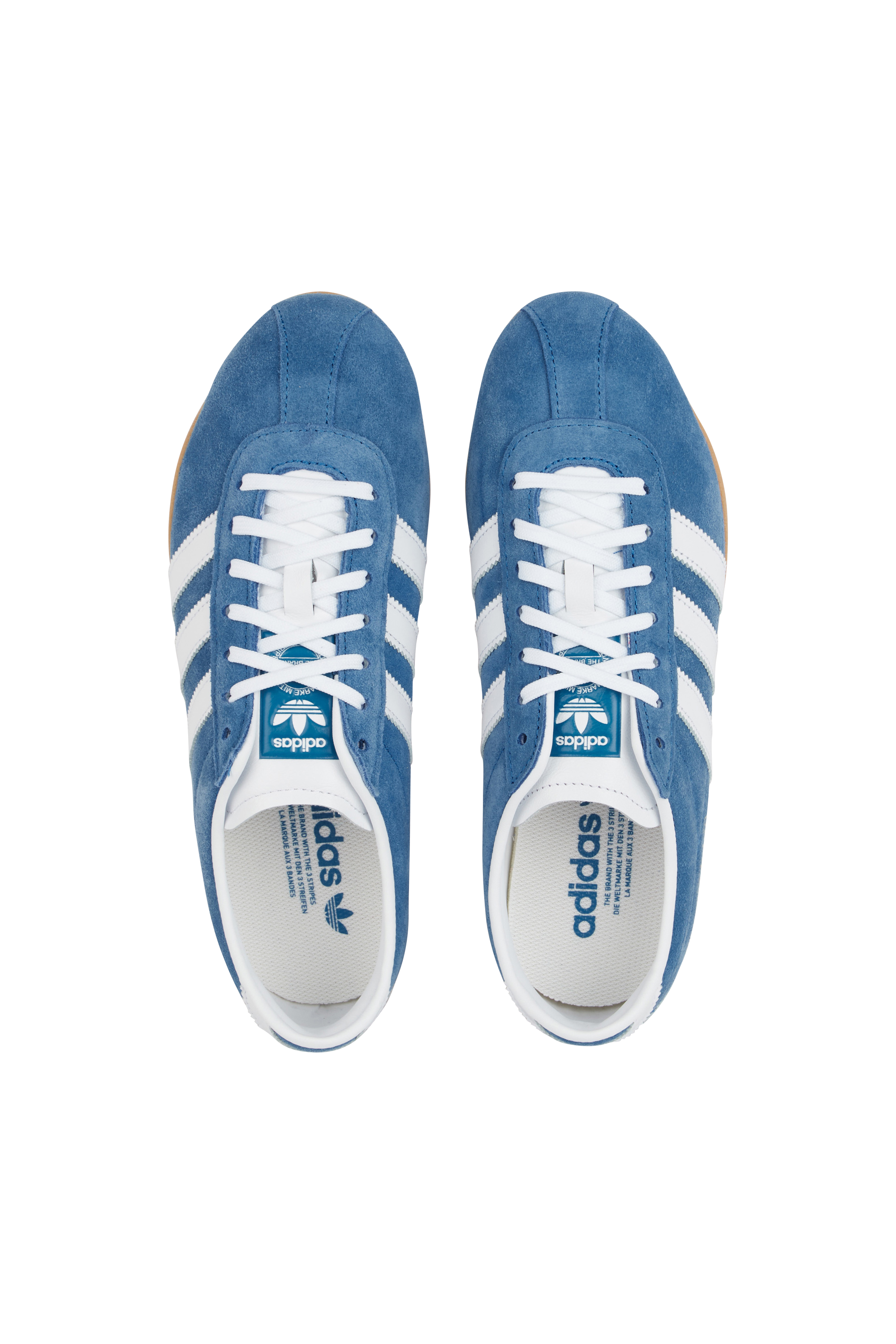 Baskets Bleu