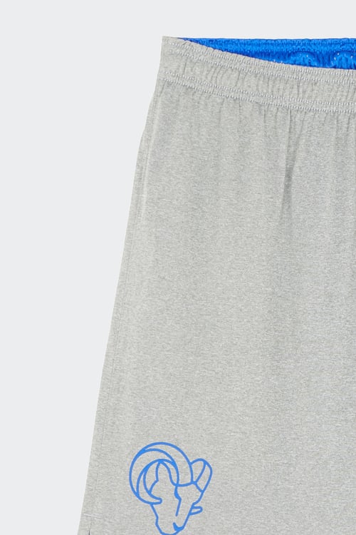 NIKE NFL Short Multicolore