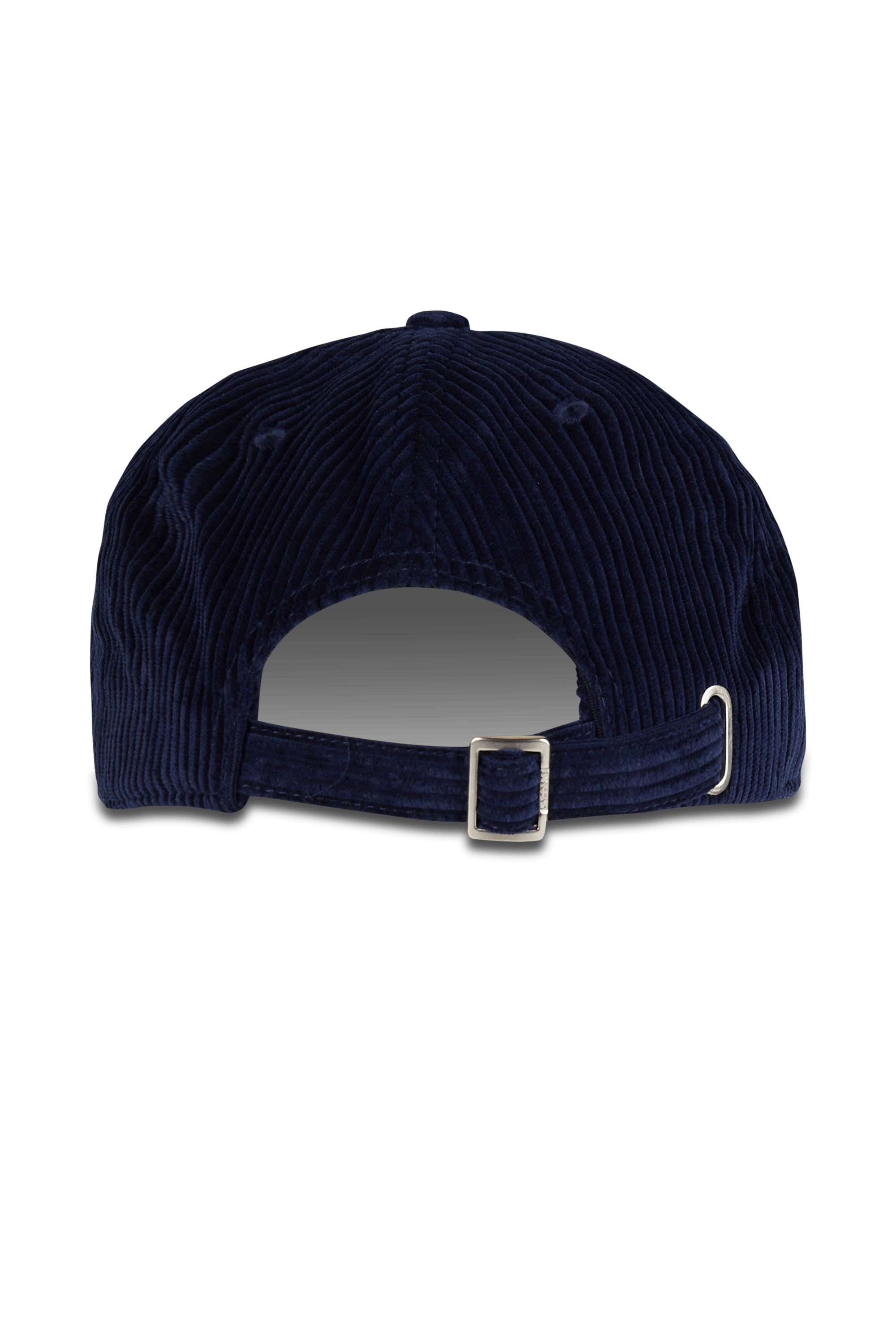 Baskets | Bleu LACOSTE Homme