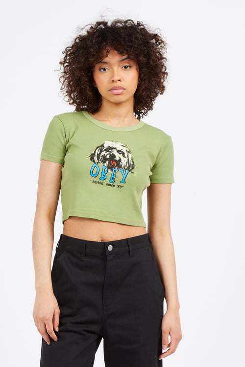 OBEY T-shirt Vert