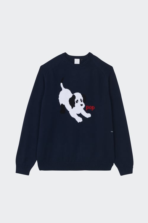 POP TRADING COMPANY Pull Bleu