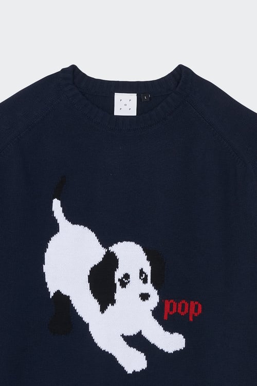 POP TRADING COMPANY Pull Bleu