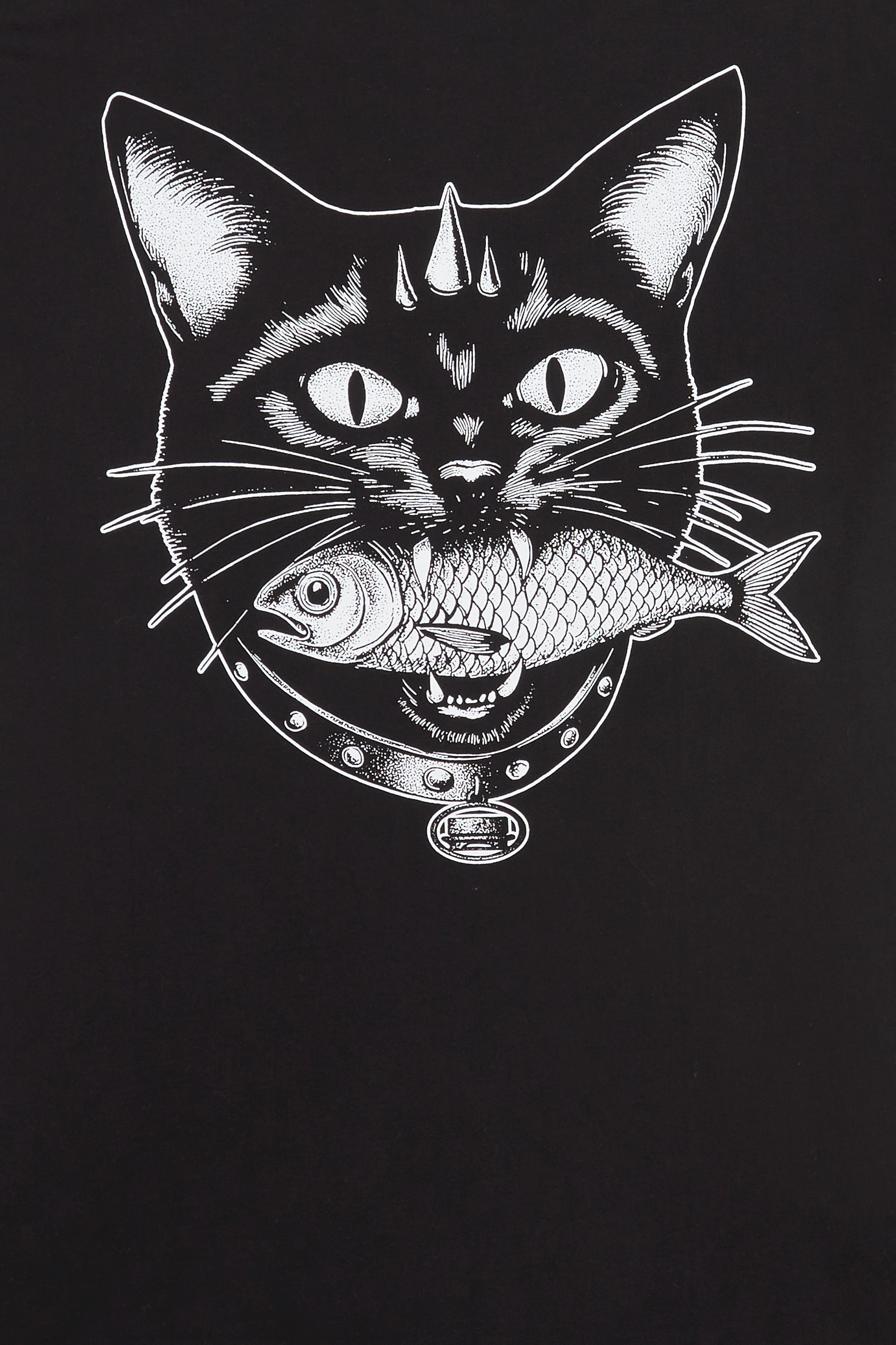 T-shirt | Black JACKER Men