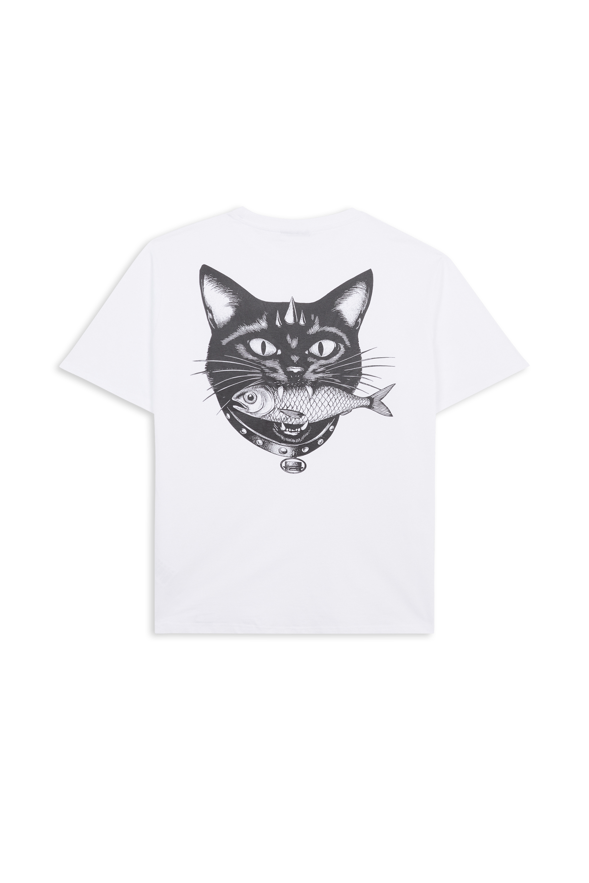 Printed T-shirt  | Purple JACKER Men