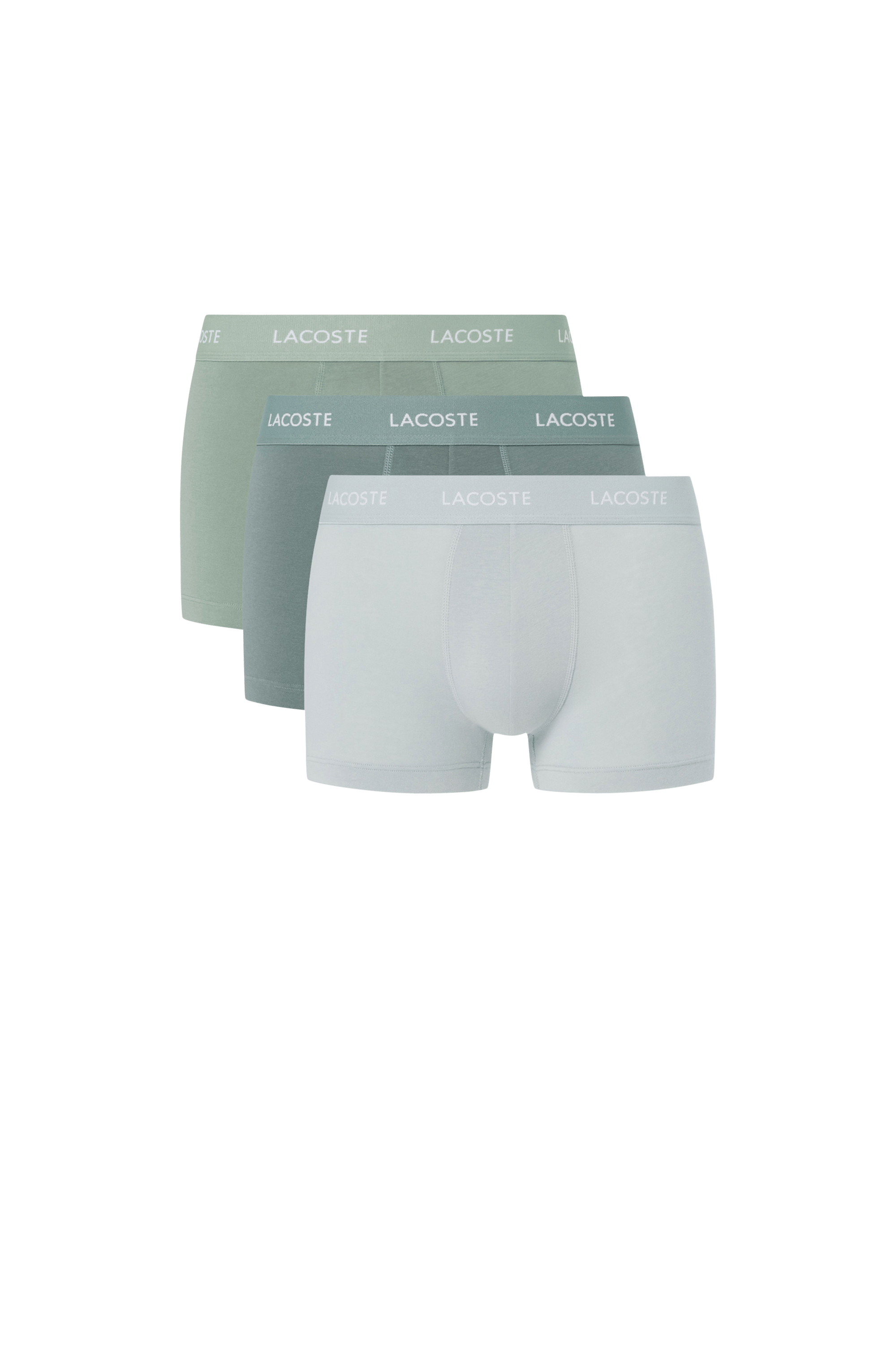 Boxers  Dauphin 05e-lichen-etain 02h