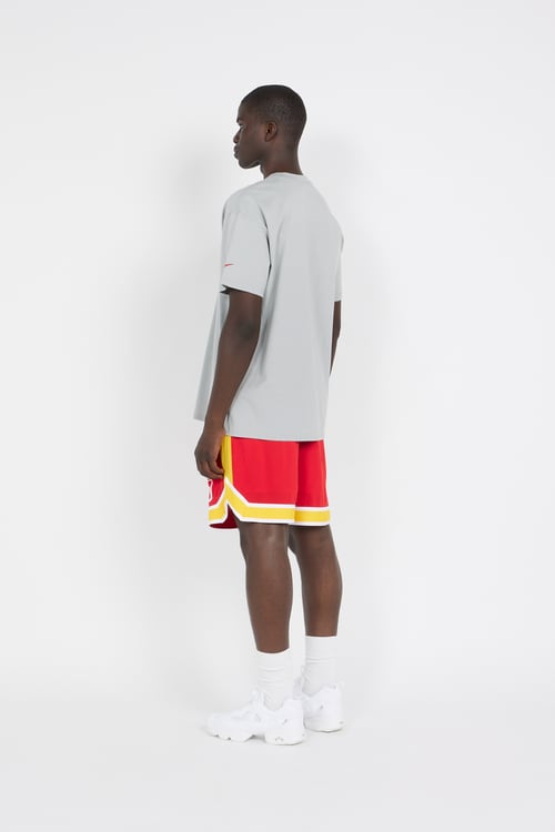 NIKE NFL T-shirt Gris