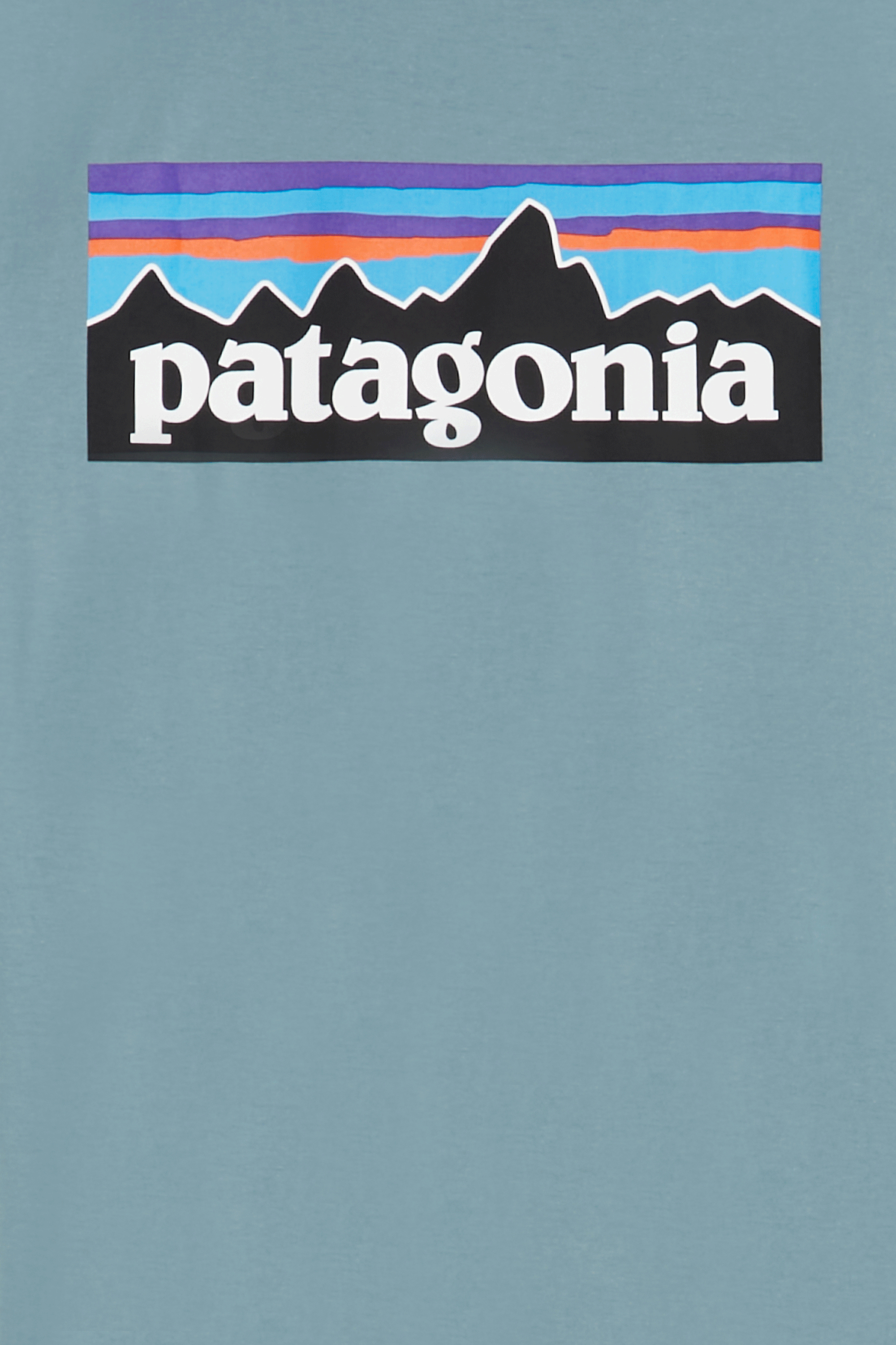 Regular-fit round-neck cotton T-shirt | Blue PATAGONIA Men