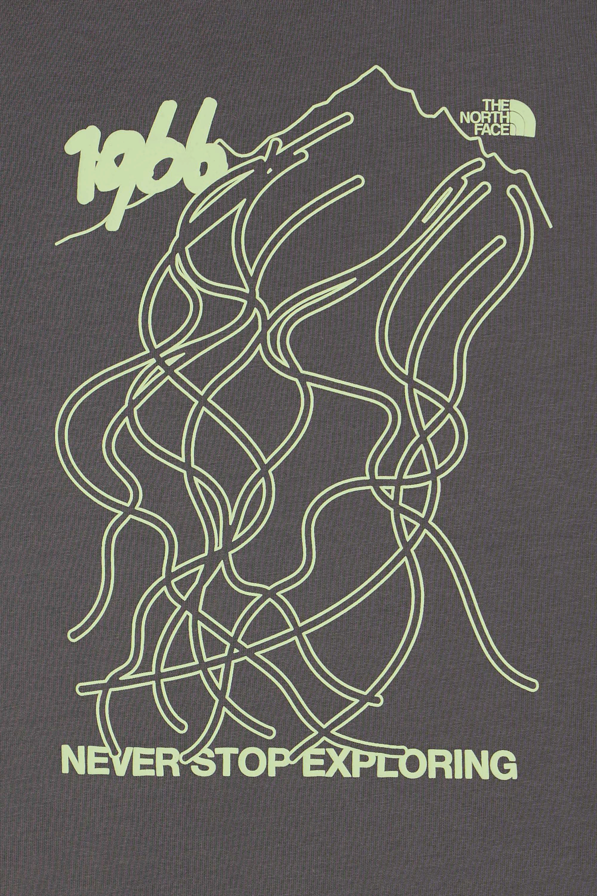 T-shirt | Gris THE NORTH FACE Homme