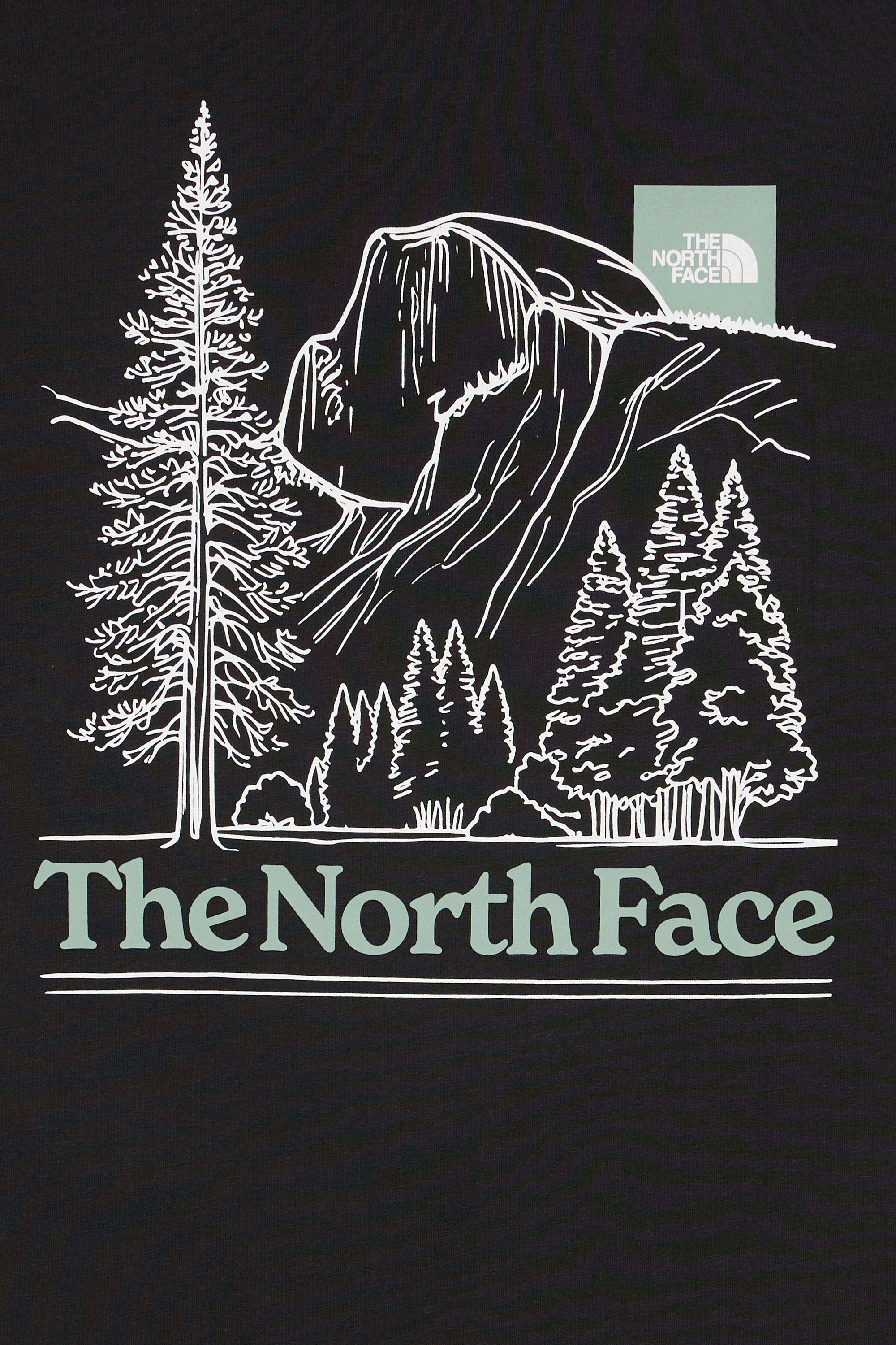 Regular-fit round-neck cotton T-shirt | Black THE NORTH FACE Men