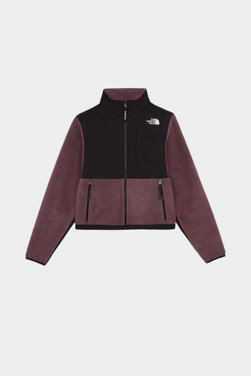 THE NORTH FACE Polaire Marron