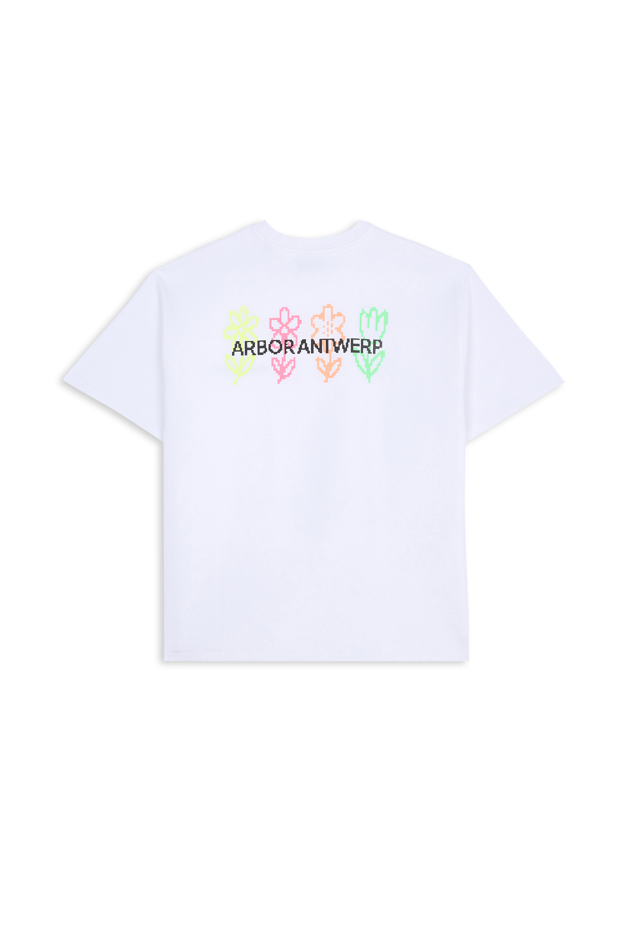 T-shirt | Blanc ARBOR Homme