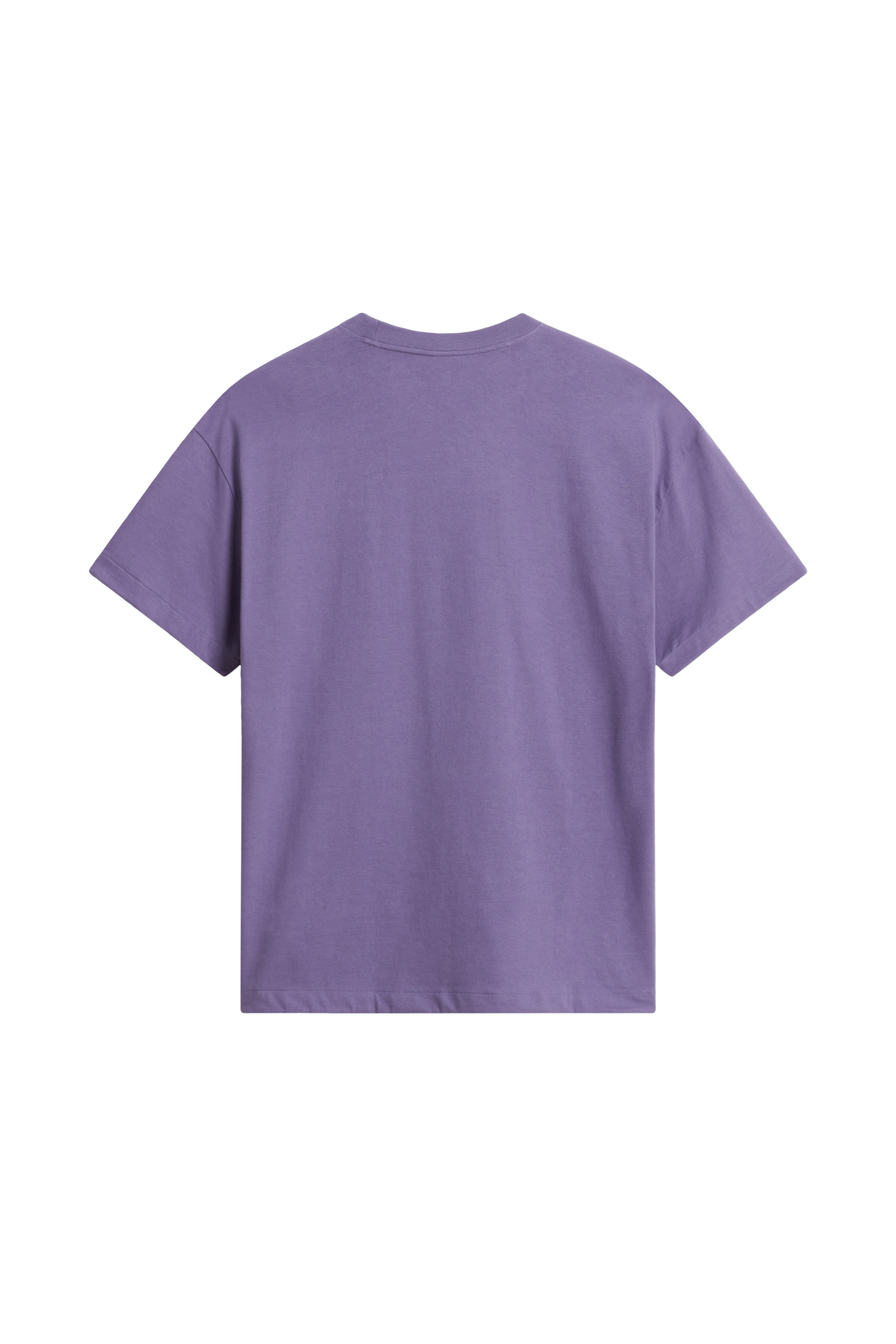 Regular-fit round-neck cotton T-shirt | Purple THE NORTH FACE Men