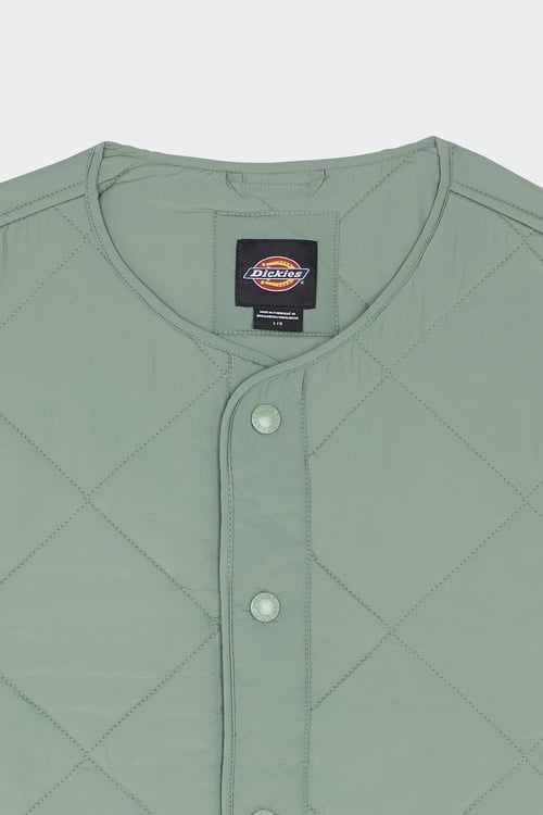DICKIES Veste Vert