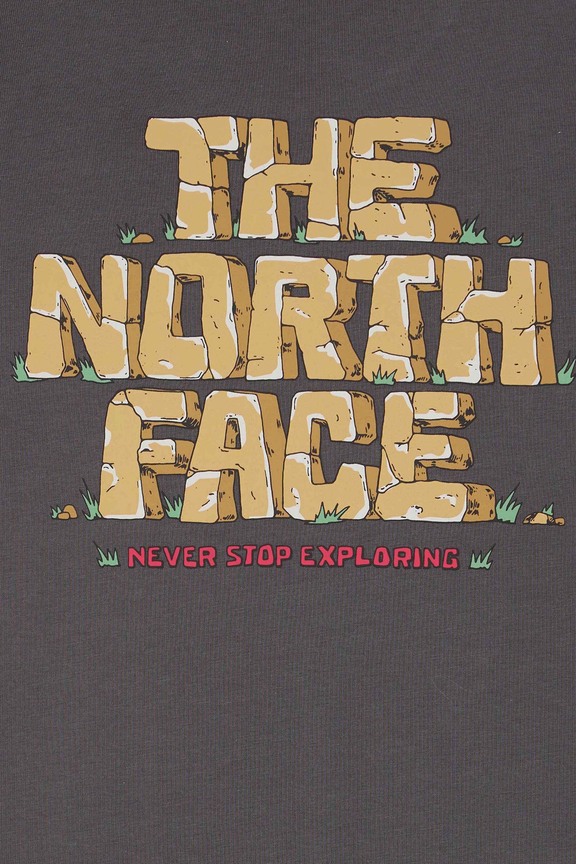T-shirt | Gris THE NORTH FACE Homme