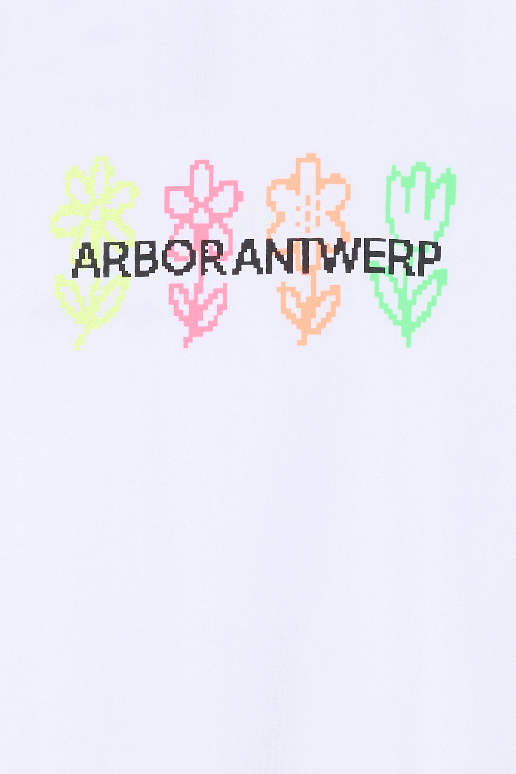 T-shirt | Blanc ARBOR Homme