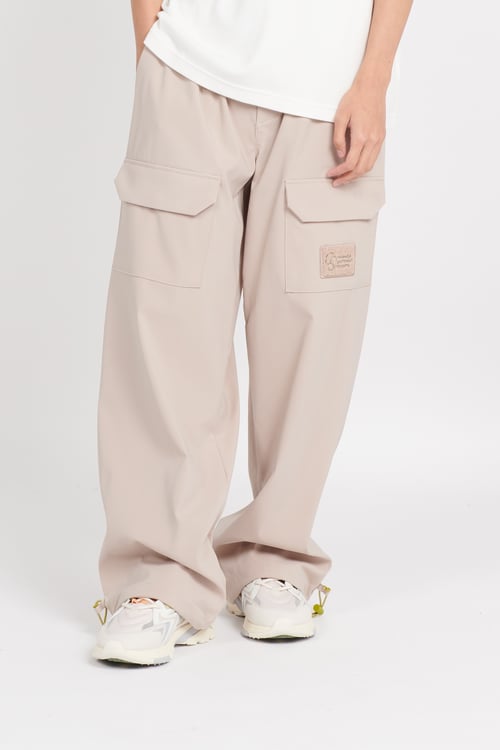 COLUMBIA Pants Grey