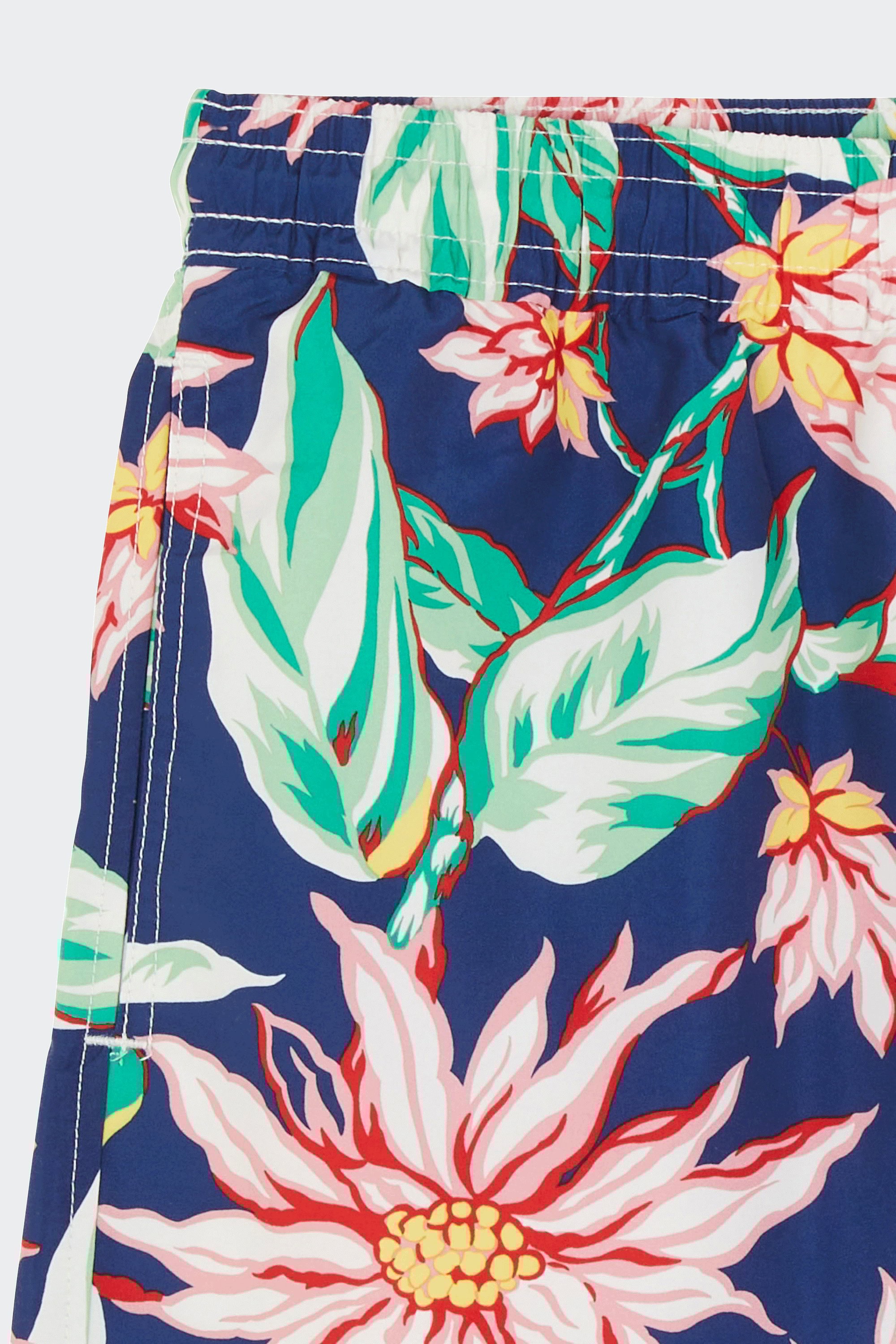 Swim shorts | Multicolored by POLO RALPH LAUREN Swim shorts Multicolored