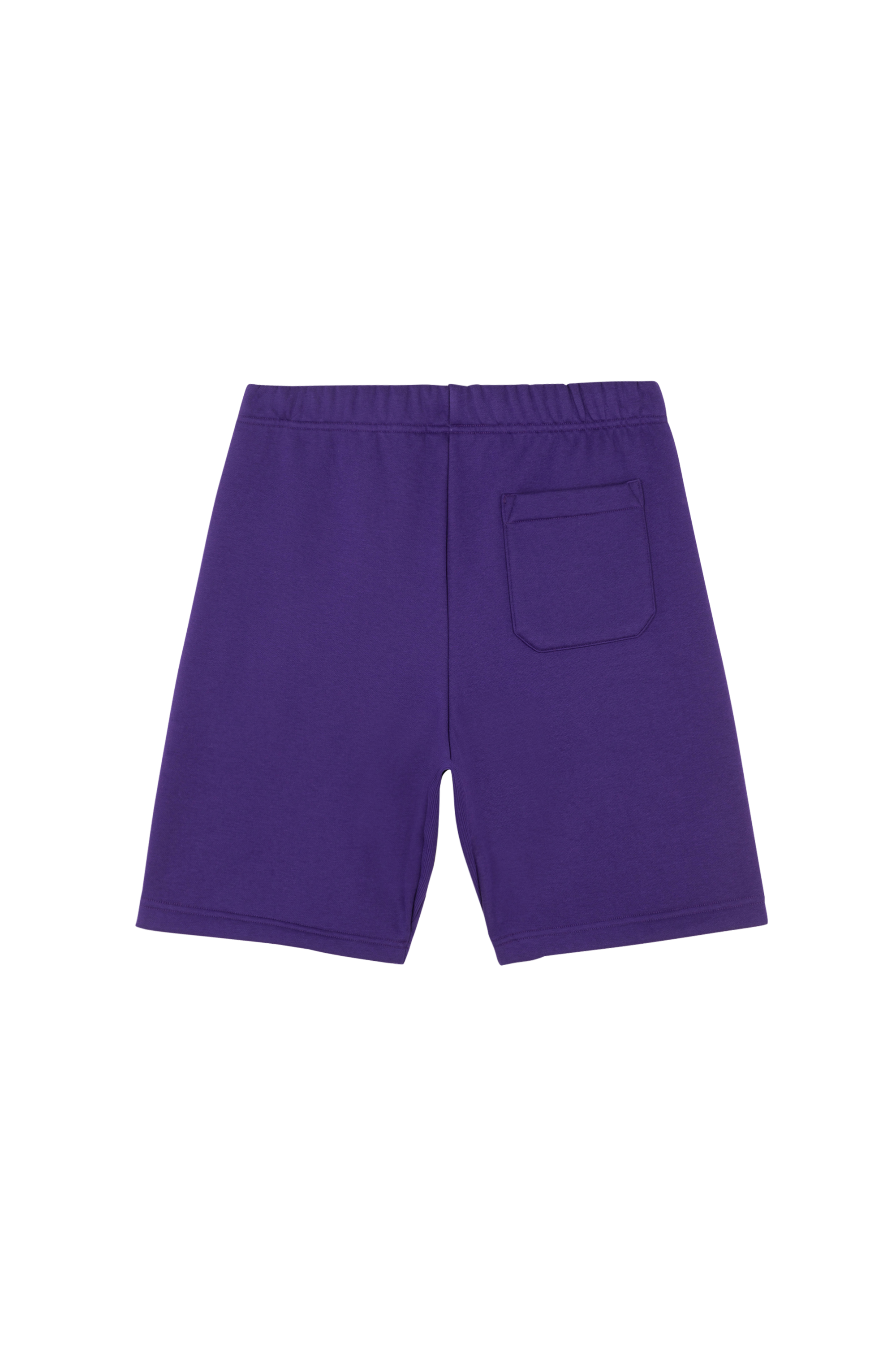 Shorts Purple