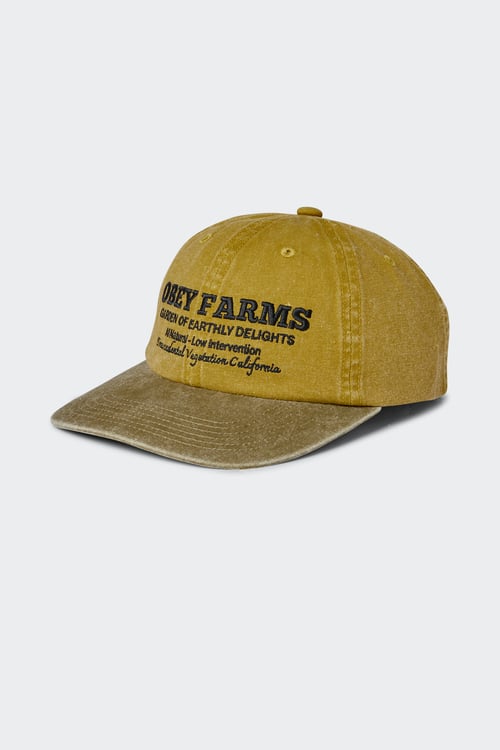OBEY Casquette  Jaune