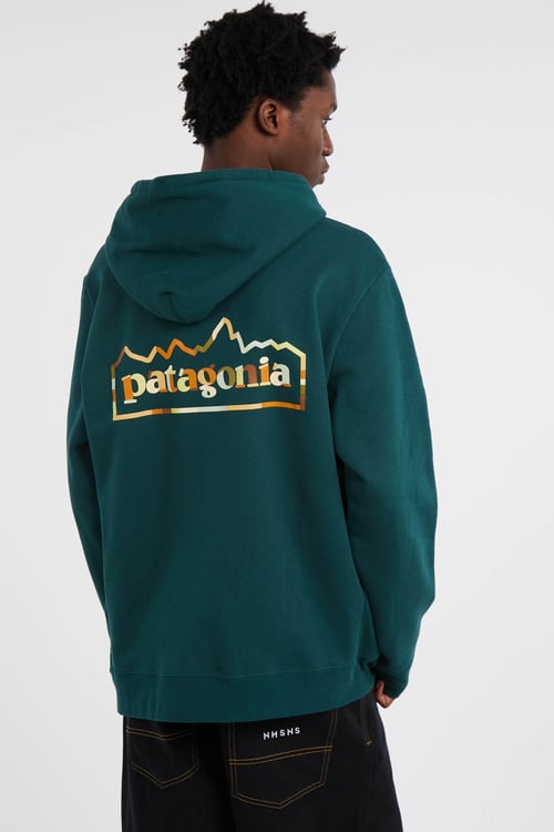 PATAGONIA Hoodie Vert