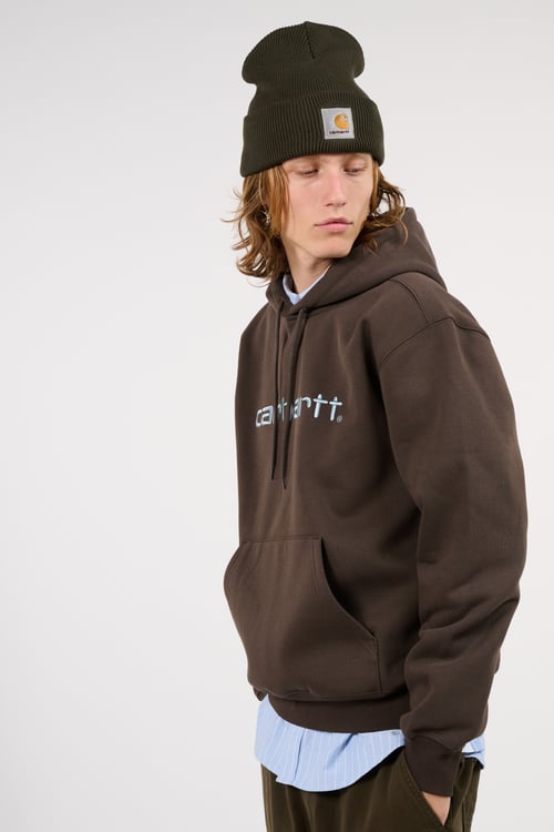 CARHARTT WIP Hoodie Marron