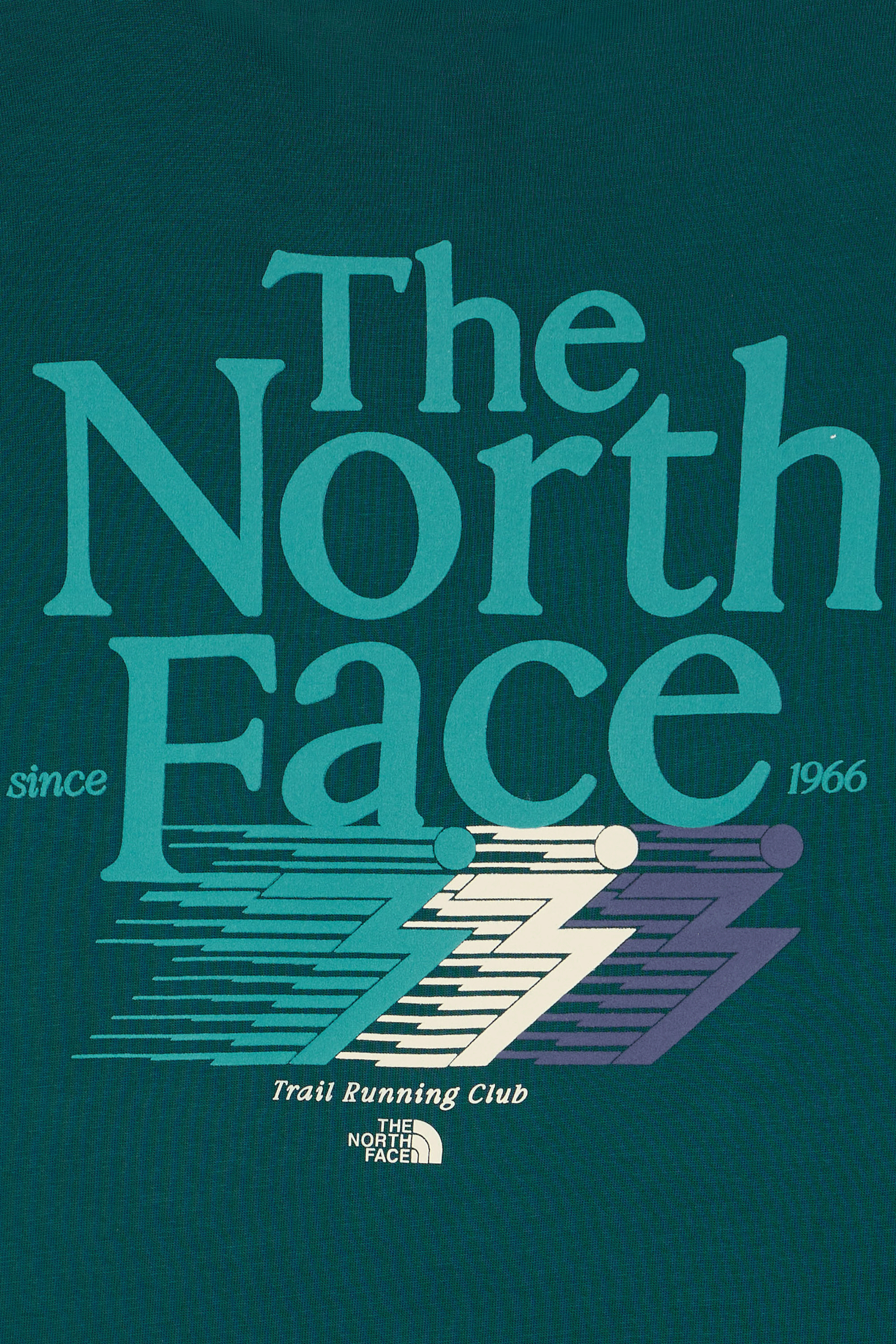 Regular-fit round-neck cotton T-shirt | Green THE NORTH FACE Men