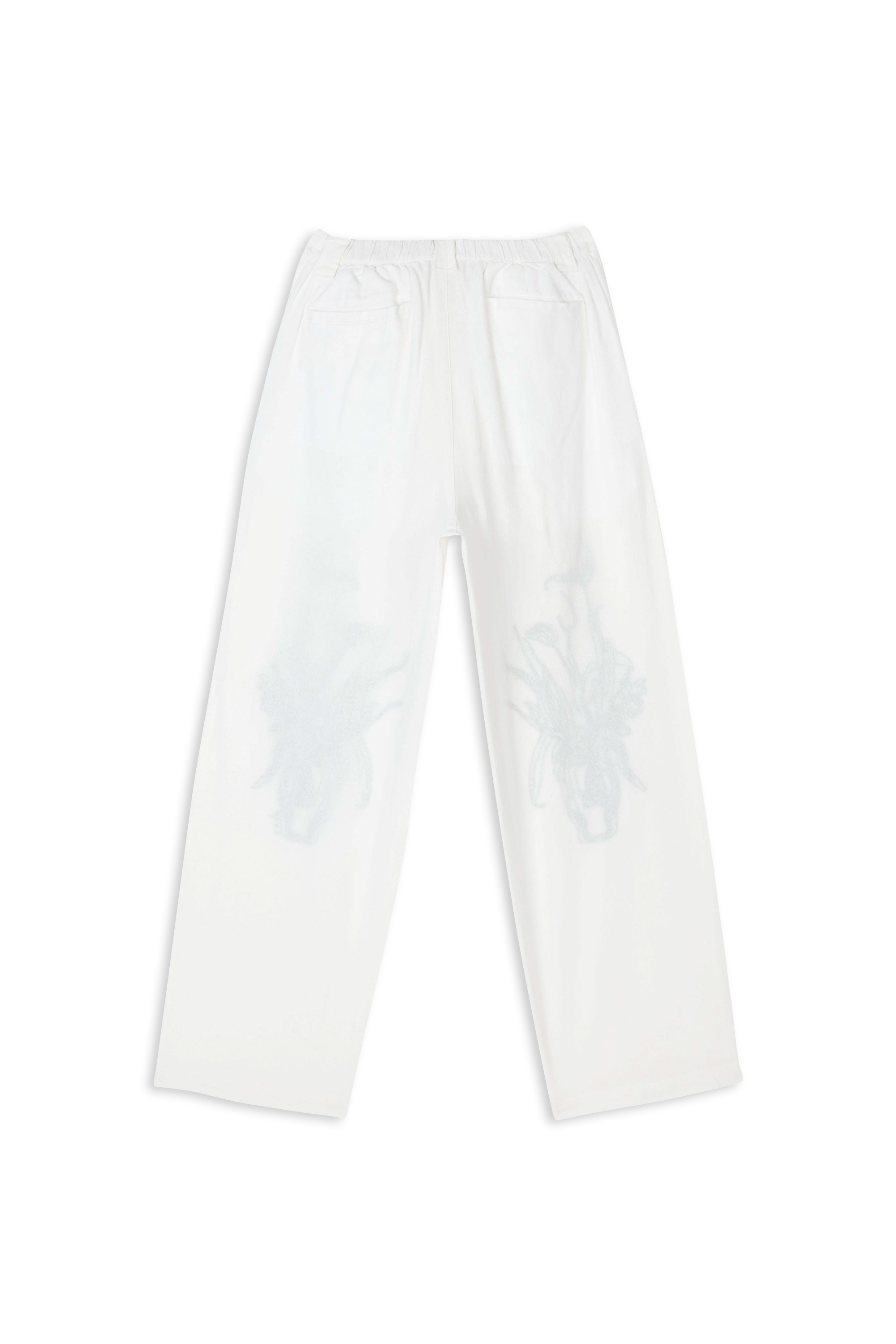Trousers White
