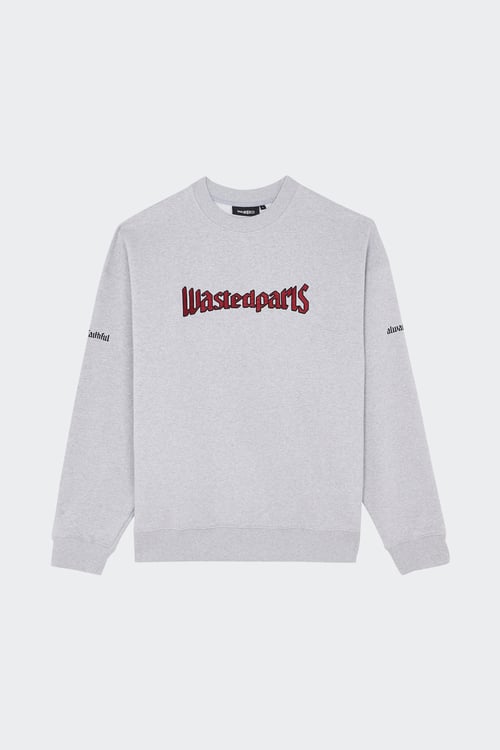 WASTED Sweatshirt Gris