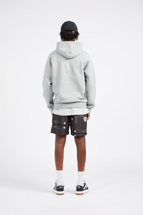 CARHARTT WIP Hoodie Gris