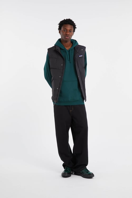 PATAGONIA Hoodie Vert