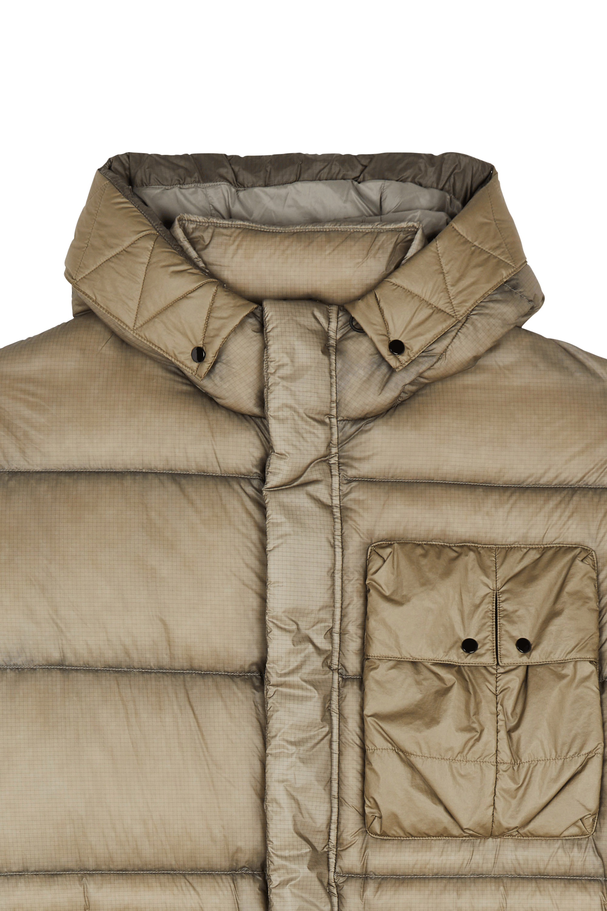 Padded jacket | Beige C.P. COMPANY Men