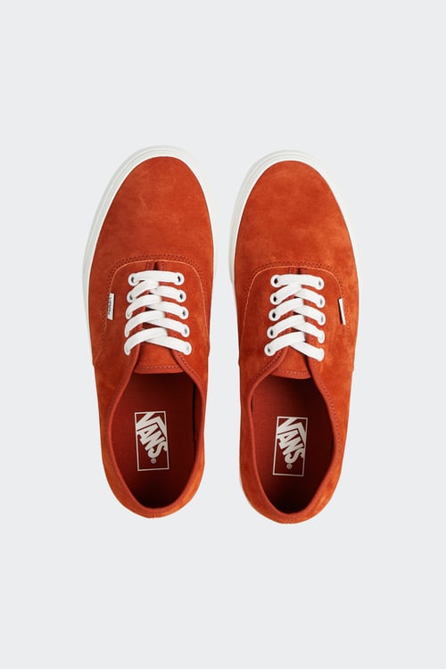 VANS Baskets Orange