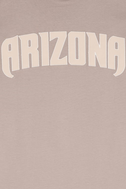 NEW ERA T-shirt Brown