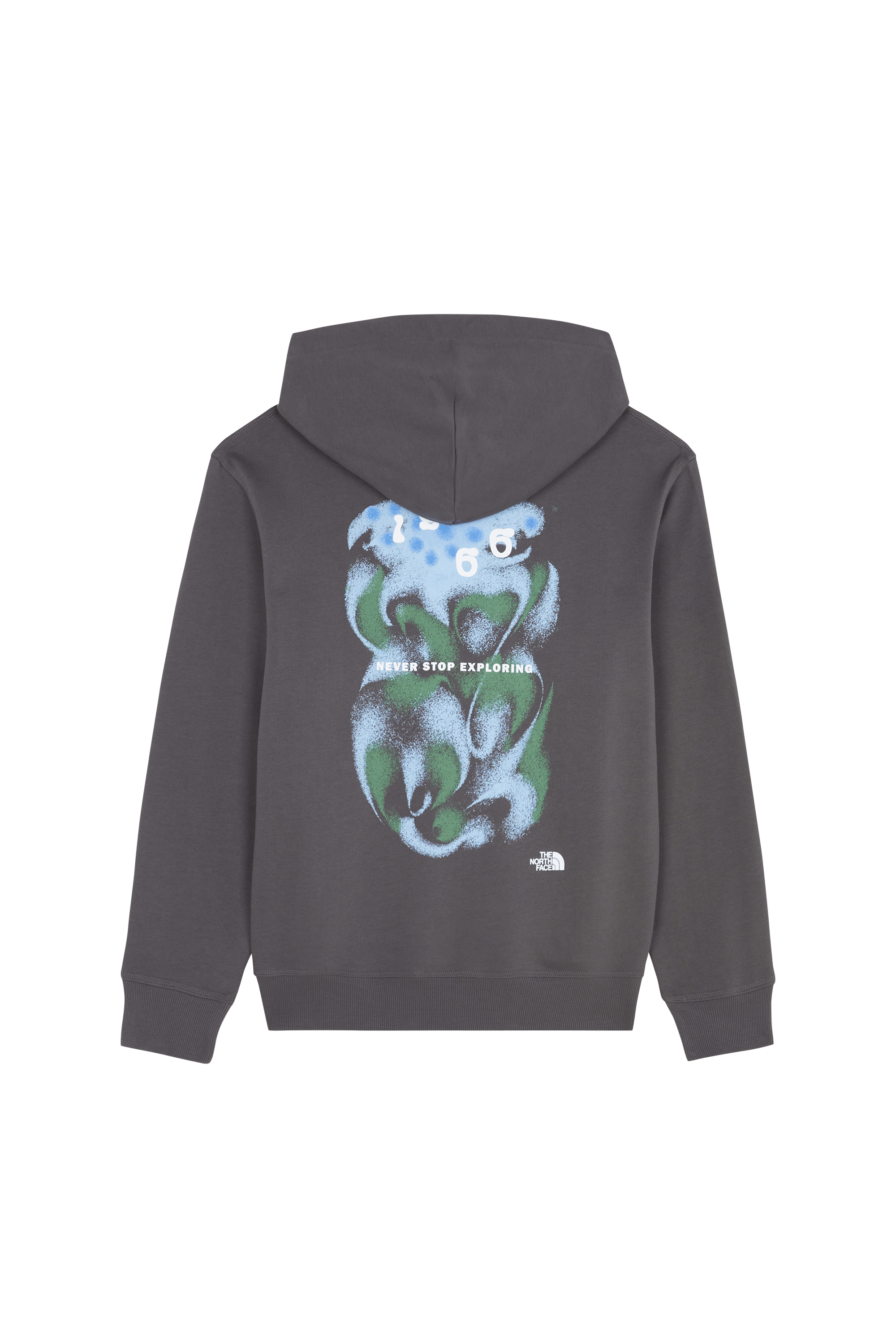 Hoodie Gris