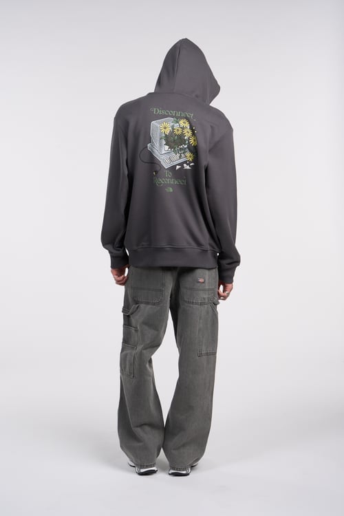 THE NORTH FACE Hoodie Gris