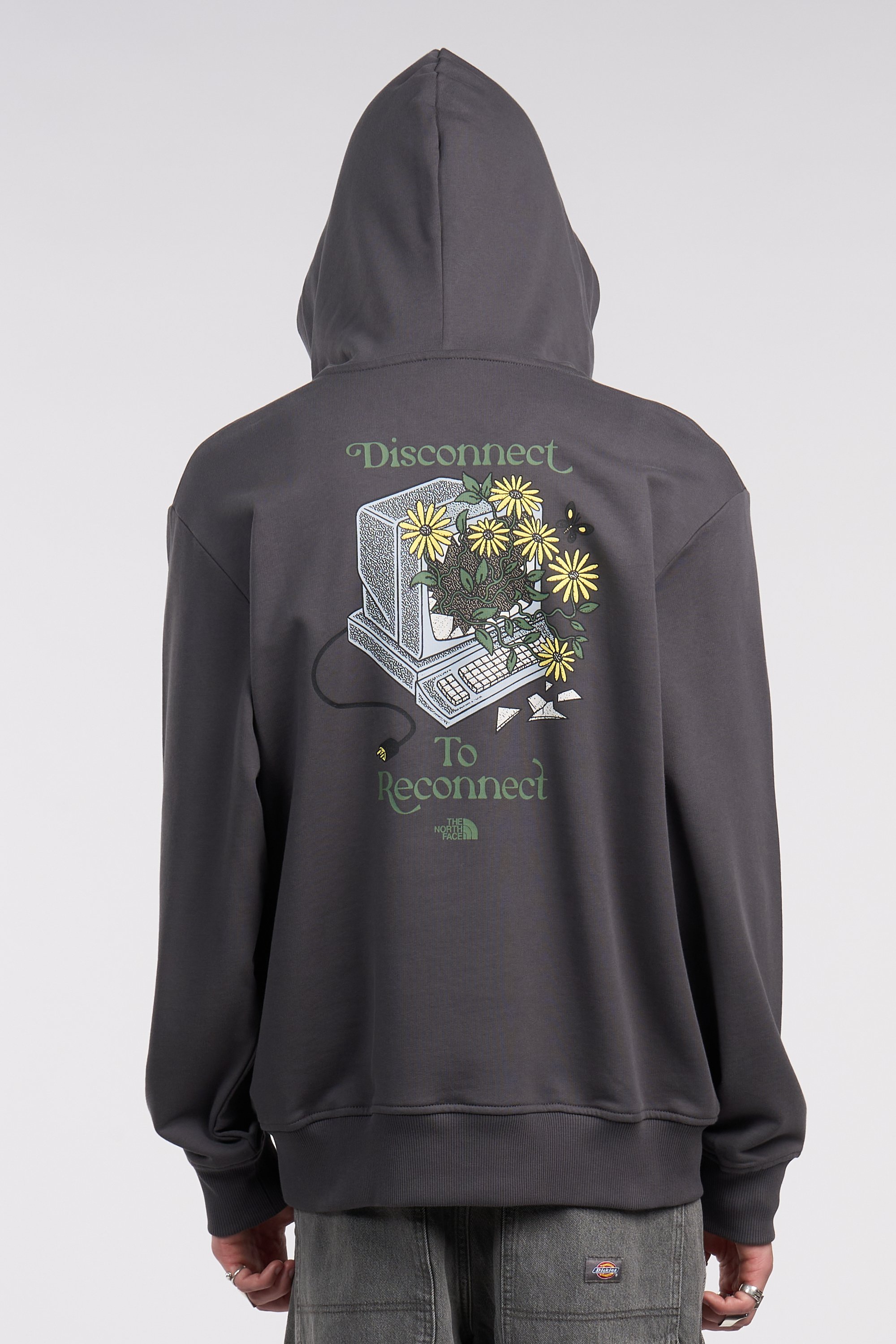 THE NORTH FACE Hoodie Gris